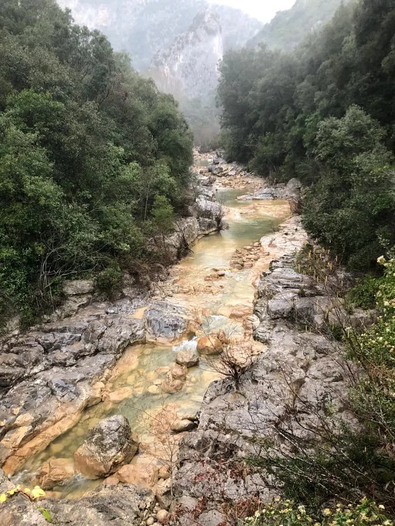 El río de Sant Aniol