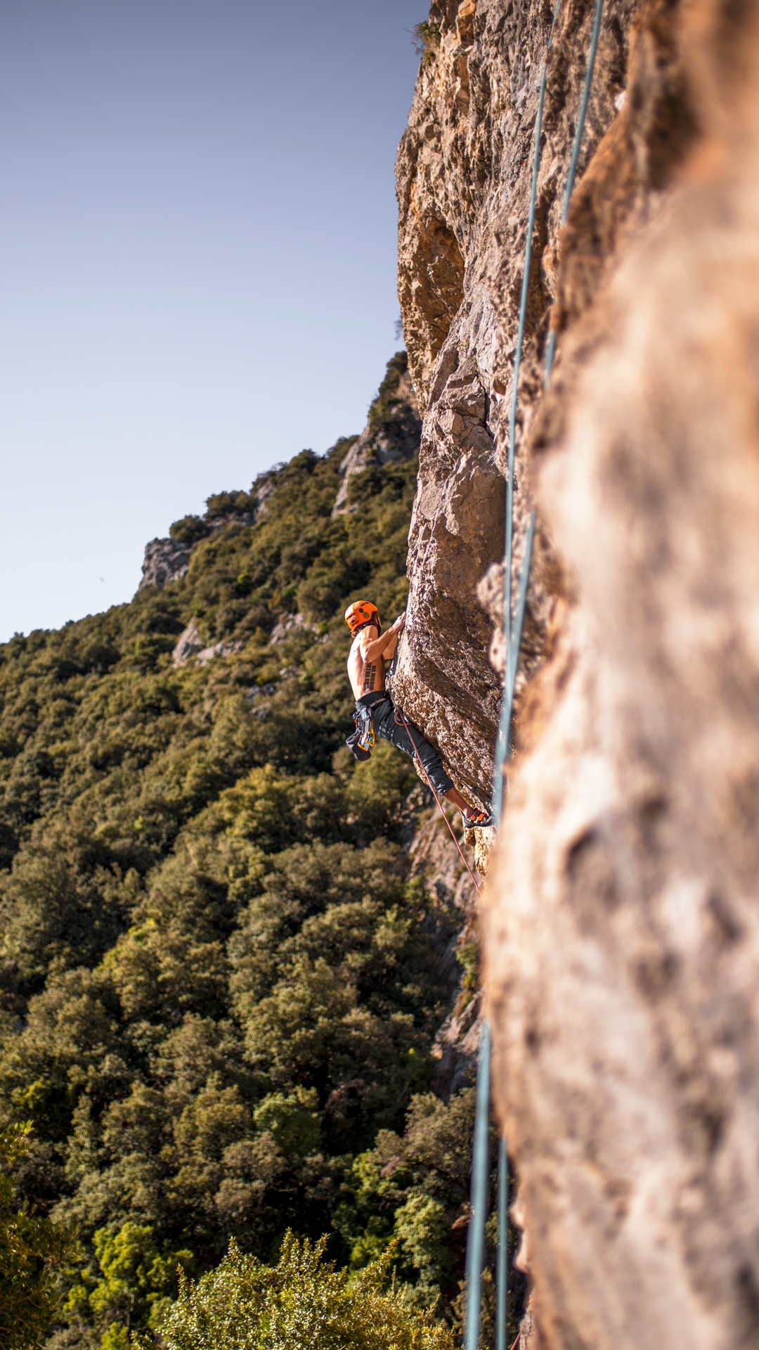 Un escalador en una via de roca calcària sobre el bosc